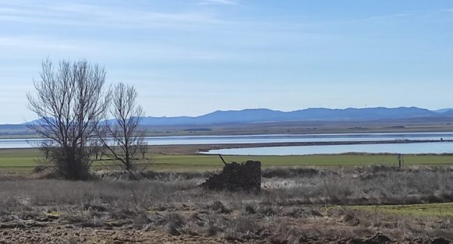humedal laguna de Gallocanta