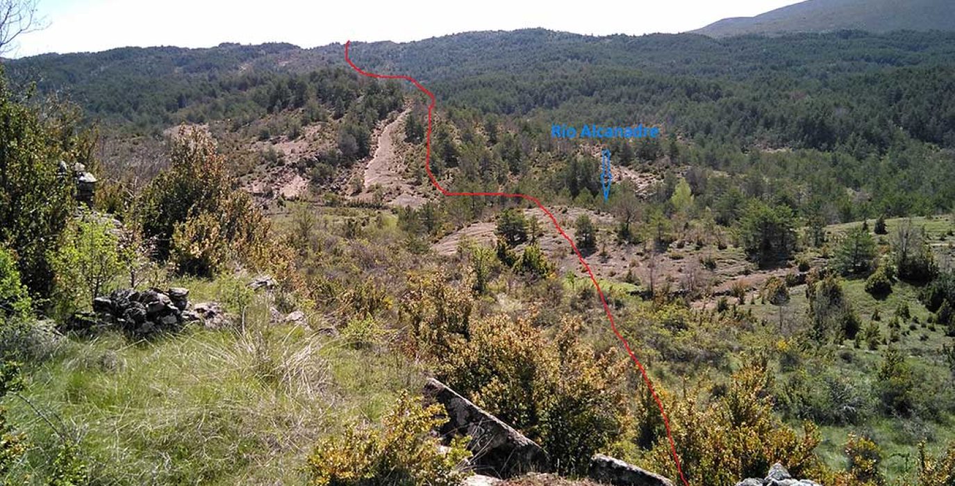 pista