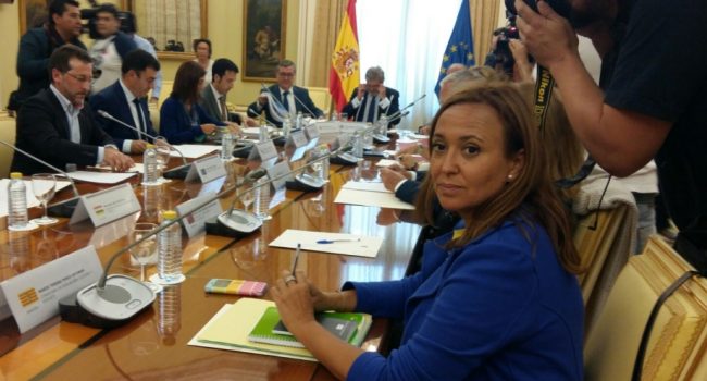 Mayte Pérez en la Conferencia Sectorial de Educación de 2015.