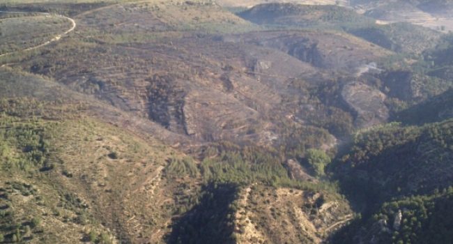 Imágenes de la zona calcinada en Ejulve.