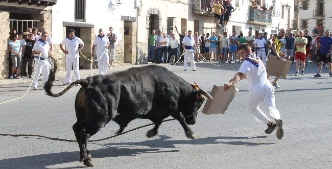 Toro ensogado en Teruel.