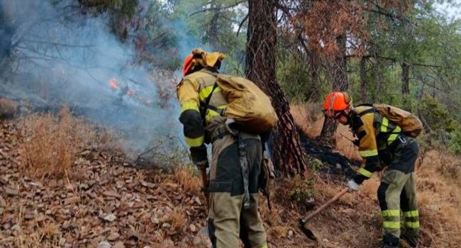 Trabajos de extinción en el incendio de la Sierra de Algairén. | Foto: DGA