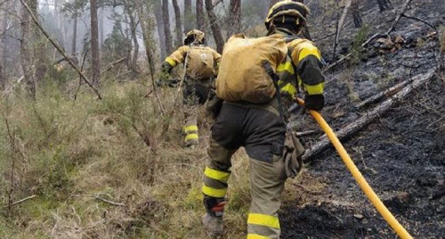 Previsión “complicada” para el incendio forestal en San Agustín
