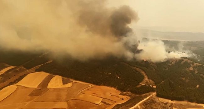 L'incendio forestal de ATECA de 2022 estió un trachico eixemplo de como se practica lo greenwashing en o territorio aragonés. | Foto: DGA
