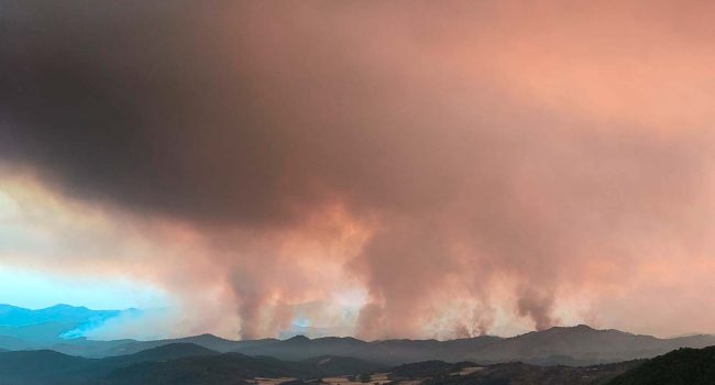 Frente este del incendio forestal de las Peñas de Riglos este miércoles. | Foto: AraInfo