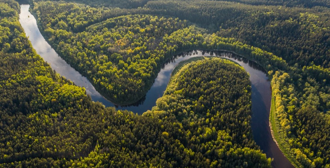 zona sin deforestación del amazonas