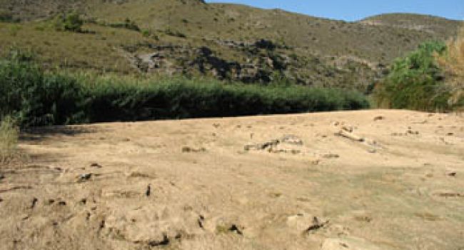Foto: Plataforma Jalón Vivo-COAGRET