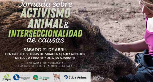 Foto: Jornada sobre activismo animalista e interseccionalidad de causas