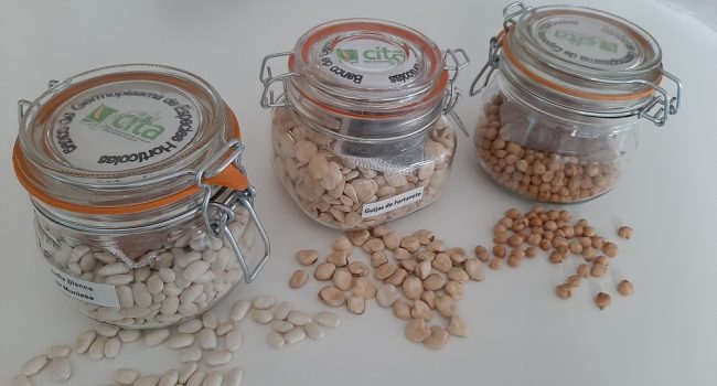 legumbres tarro frasco CITA