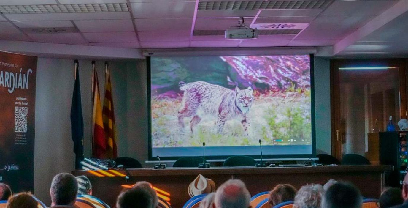 Proyección en Lanaja. | Foto: Apache Comunicación