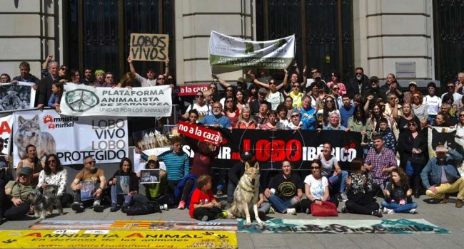 Un momento de la concentración de este domingo. | Foto: Cris Aznar, @crisaznarphoto