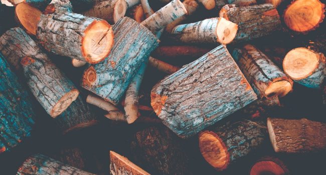 Foto: Chandler Cruttenden en unsplash
