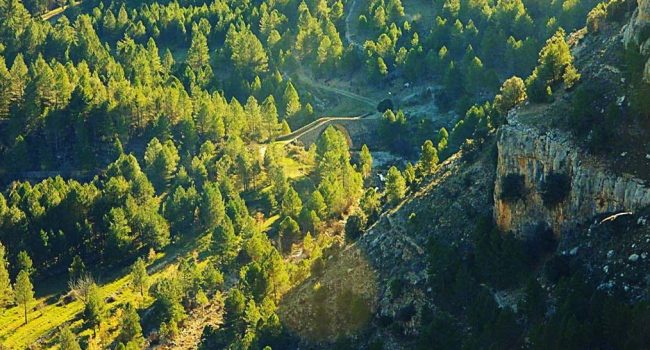 Foto: Teruel Existe