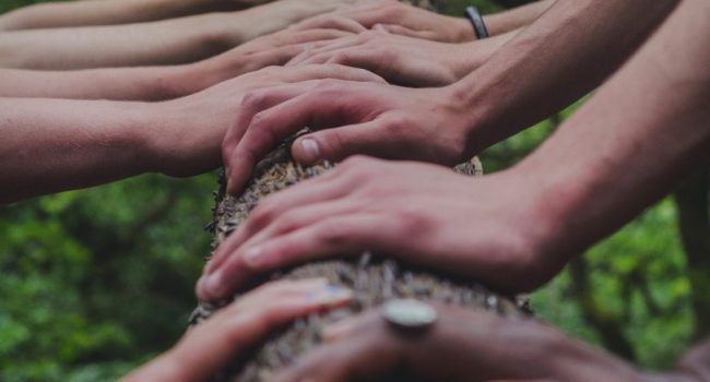 manos tronco shane rounce unsplash