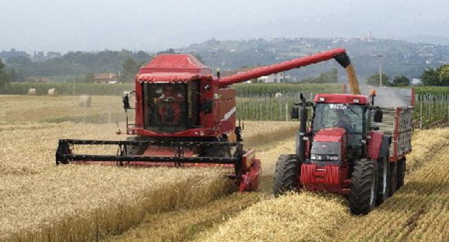Izquierda Unida presenta hoy en las Cortes una iniciativa para facilitar el acceso a la tierra a los nuevos agricultores y fomentar el sector agrario aragonés.