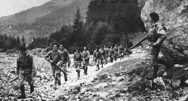 Maquis en el Pirineo.