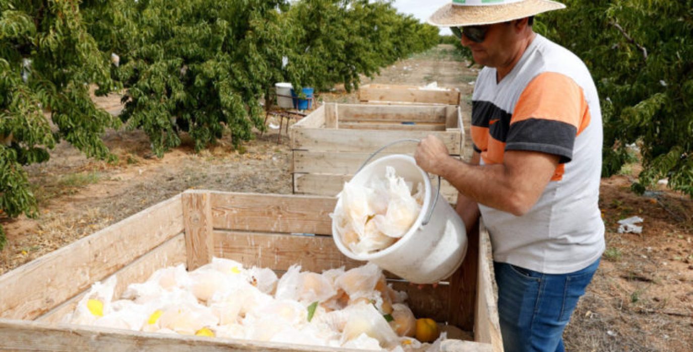 UPA manifiesto ayudas