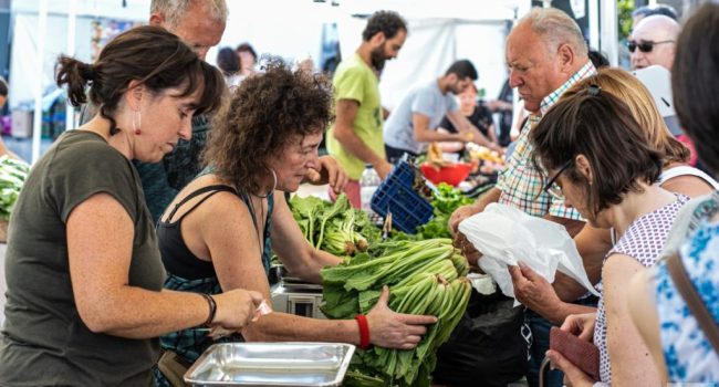 Agroecológico mercados