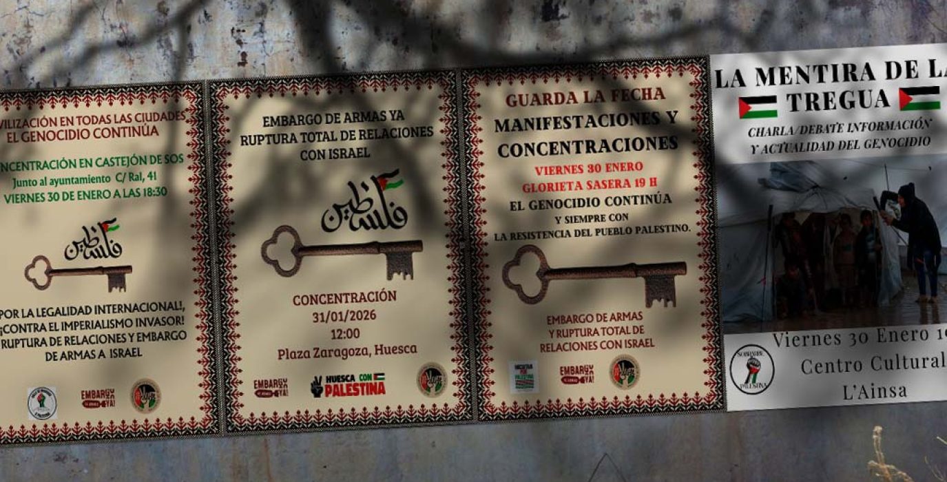 movilizaciones-palestina-aragon
