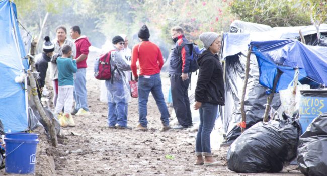 migrantes
