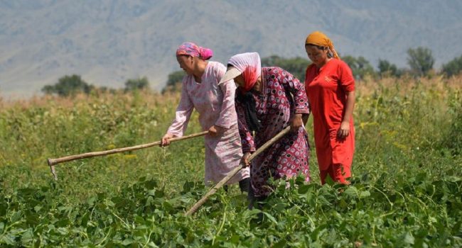 mujeres campesinas