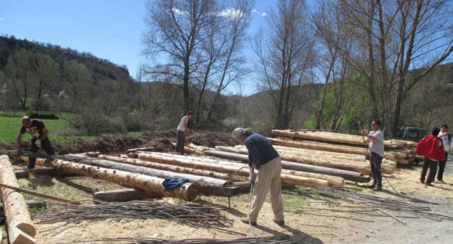 Retorciendo los berdugos. Foto: Asociación Río Galligo