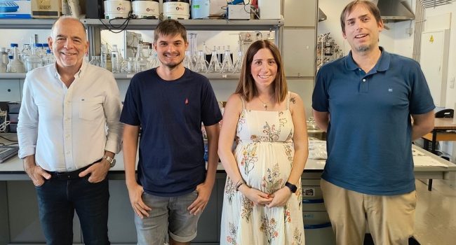 Una parte del equipo investigador que ha desarrollado el trabajo. De izquierda a derecha: Jesús Santamaría, Ignacio García-Peiró, María Sancho-Albero y José Luis Hueso | Foto: Universidad de Zaragoza