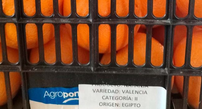 Naranjas de Egipto distribuidas en centros escolares por la DGA. | Foto: COME Pública