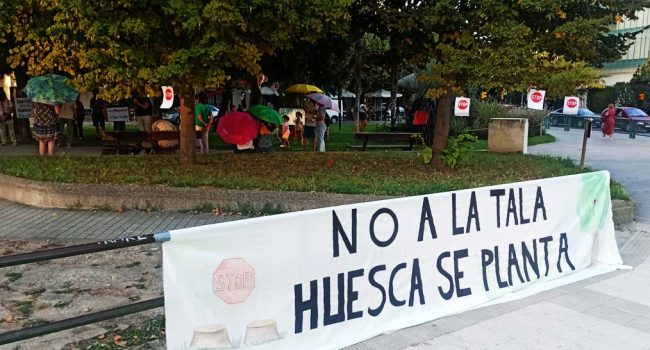 Foto: Plataforma Árboles Vivos Huesca