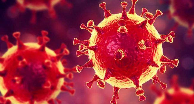 nuevo-coronavirus-responsable-misteriosa-neumonia-en-chinan