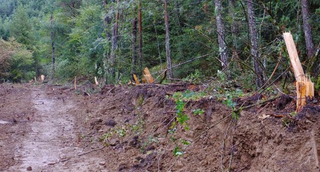 Foto: Ecologistas en Acción