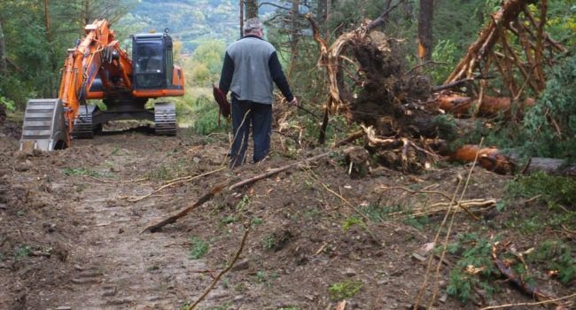 Foto: Ecologistas en Acción