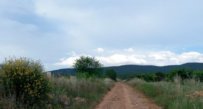 Los vecinos y vecinas de Ruesca se rebelan ante la inminente expropiación de caminos públicos.
