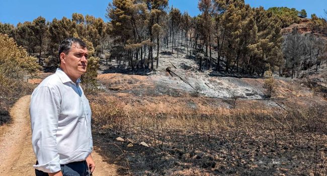 Joaquín Palacín de espaldas a la zona quemada por el incendio