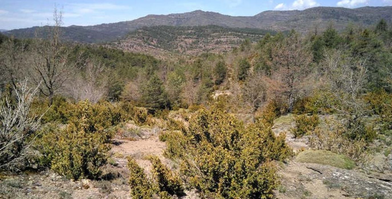 Paisaje de la zona afectada por el proyecto | Foto: Ecologistas en Acción