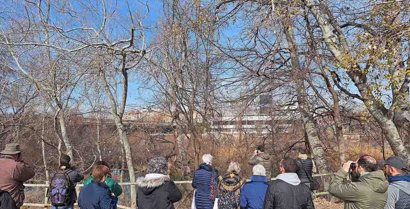 Paseo por el entorno de Zaragoza turismo | Foto: Birding Aragón.