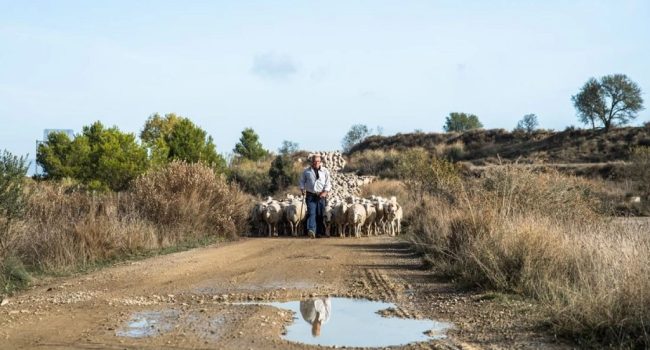Foto: Cima Norte