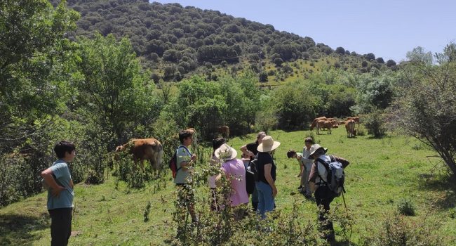 pastoreo-Purujosa-moncayo