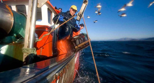 Foto: Alfonso Rego (WWF)