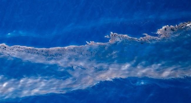 Regueros de fuel del pesquero ruso hacia Canarias. Foto: Greenpeace