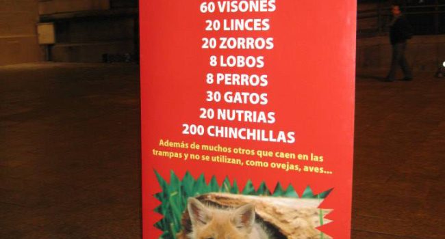 pieles animales AMNISTIA ANIMAL