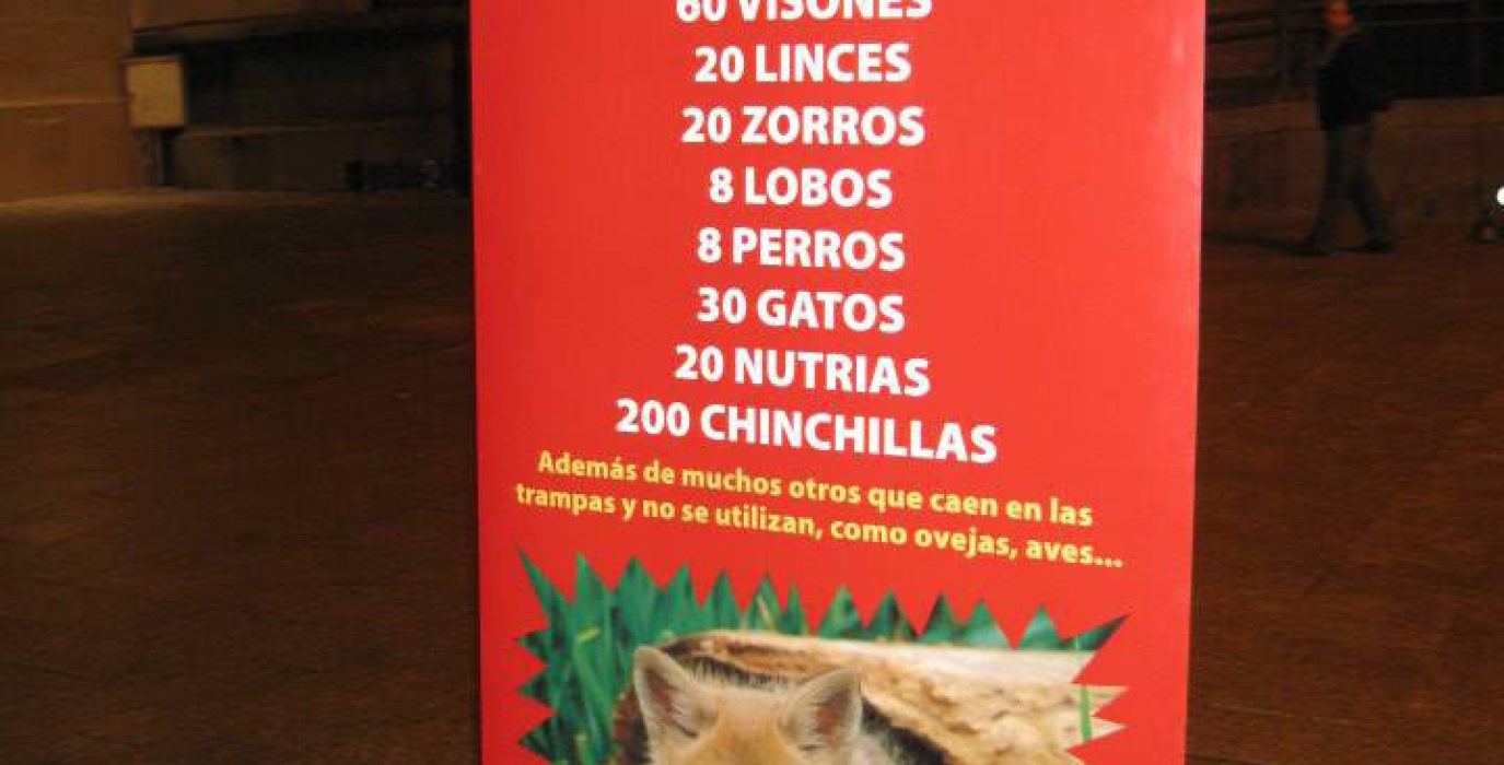 pieles animales AMNISTIA ANIMAL