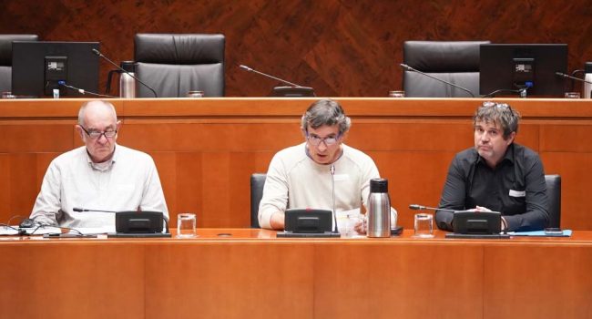 Un instante de la comparecencia. | Foto: Cortes de Aragón
