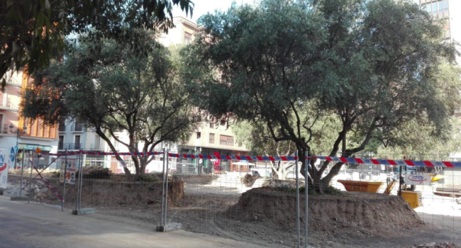 plaza salamero carbon zaragoza 2