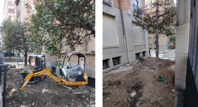 Denuncian la “poda salvaje” de laureles ejemplares en la sede de la CHE en Zaragoza