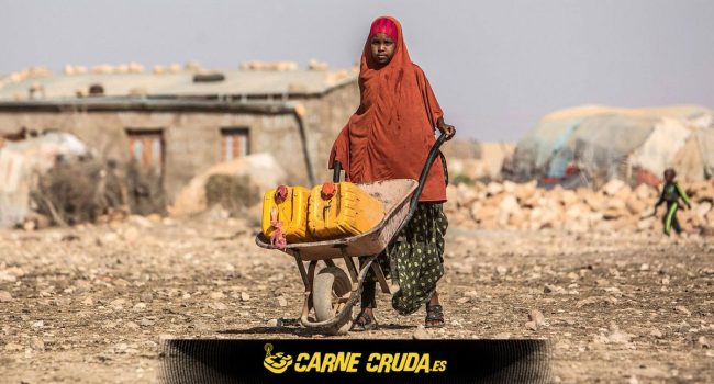 podcast carne cruda amigos de la tierra aragon