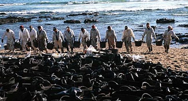 Foto: Ecologistas en Acción