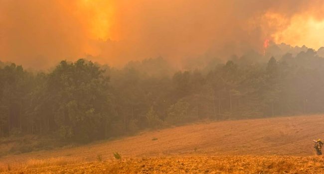 Una imagen del incendio de Las Peñas de Riglos. | Foto: INFOAR