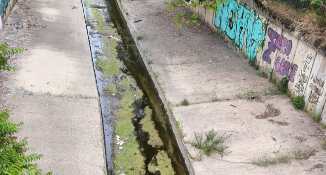 Lo río, degradau, a lo suyo paso por Uesca | Foto: Partido Verde