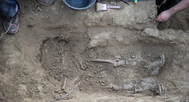 Exhumación en Fuencalderas. Foto: Pablo Ibáñez (AraInfo)